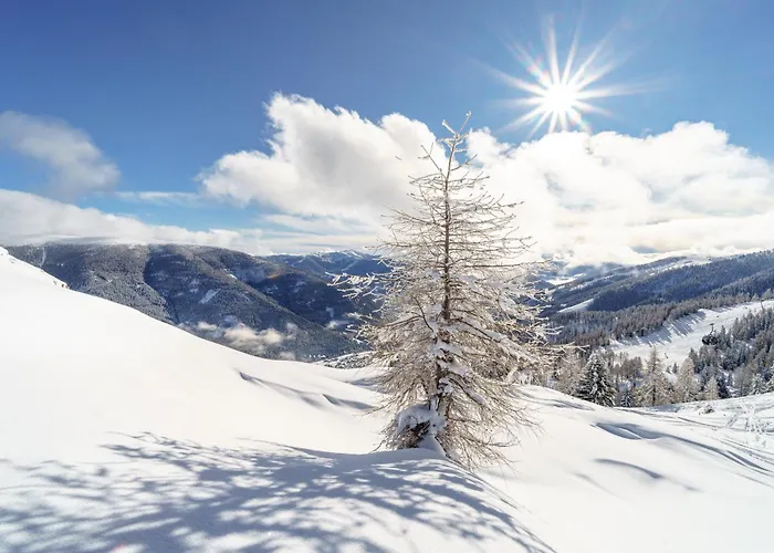 Deluxe Panorama Apartment-maibrunn-alm 바트키르히하임